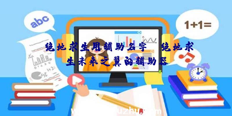 「绝地求生用辅助名字」|绝地求生未来之翼的辅助器